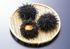長野県産の美味しいお米を手軽に注文