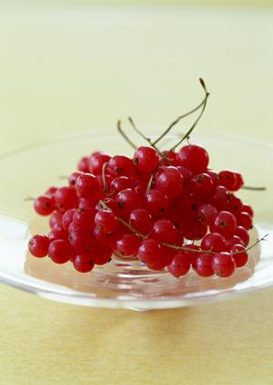 吉祥寺で本格ナポリピッツァを楽しむなら「ラ・ベファーナ 吉祥寺」?薪窯焼きピザと多彩なイタリアンワインが人気のカジュアルレストラン