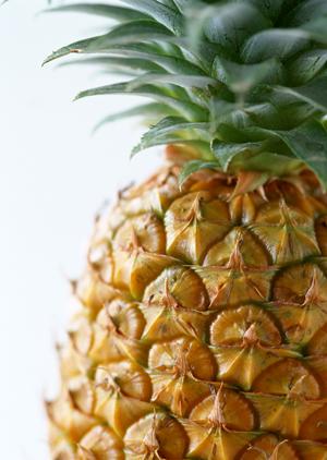 2026年最新版|大阪駅周辺の絶品ランチスポット10選と選び方ガイド